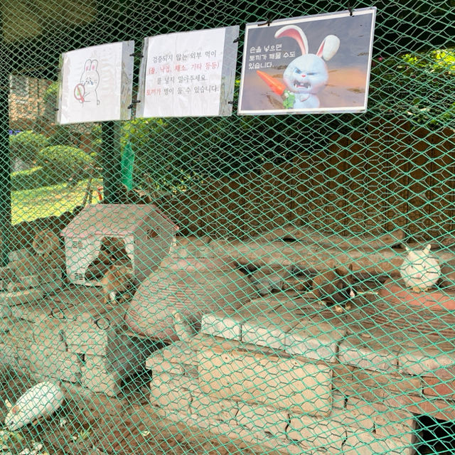 가족들과 함께하기 좋은 봄 여행 관광지, 대구 달성공원