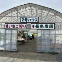 Strawberry Picking at Nagashima Farm, Misaki Station