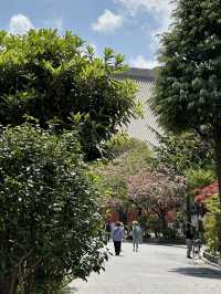 자연의 싱그러움, 분홍 꽃이 만발하고 🌸 나무와 풀의 푸르름이 깃든 🌳 도쿄 봄여행지 추천