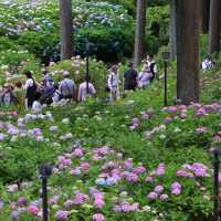 【福岡景點】星之花公園～漫步賞景