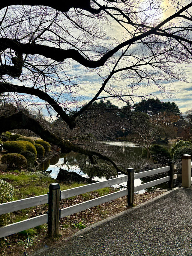 Shinjuku Gyoen National Garden