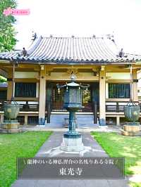 【東光寺/東京都】龍神のいる神仏習合の名残りある寺院