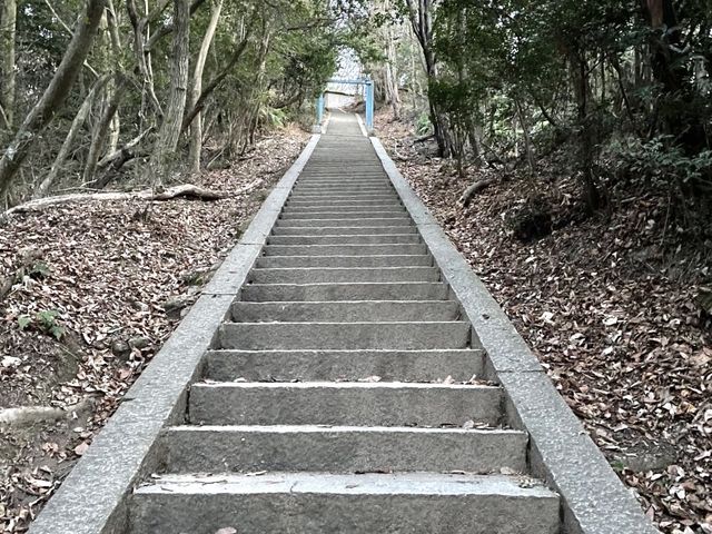 【京都】京都を一望できる山にプチトレッキング