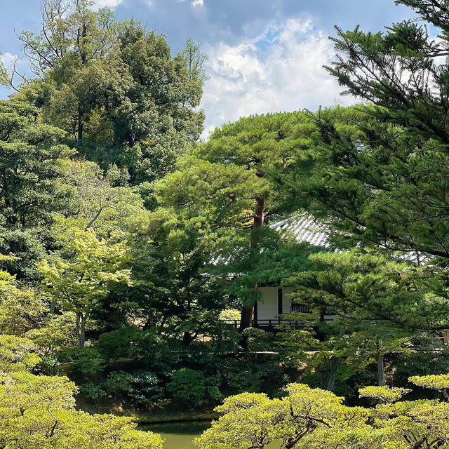 碧水園～景色如倒影般熠熠生輝