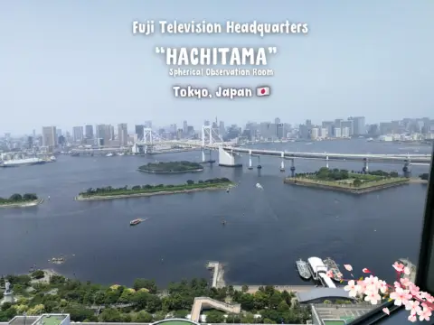 ✨ 在八玉觀景室欣賞壯麗的景色。