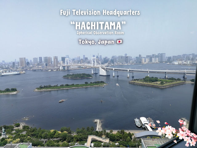 ✨ ชมวิวสุดจึ้งกันที่ Hachitama Observation Room