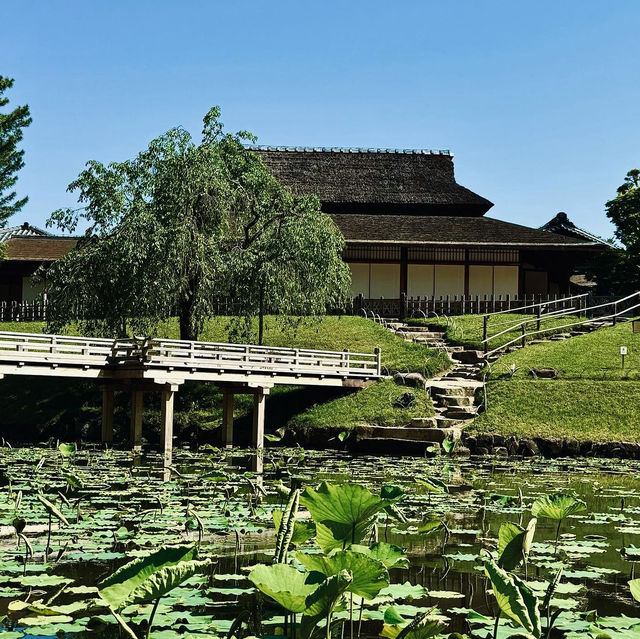 岡山後楽園