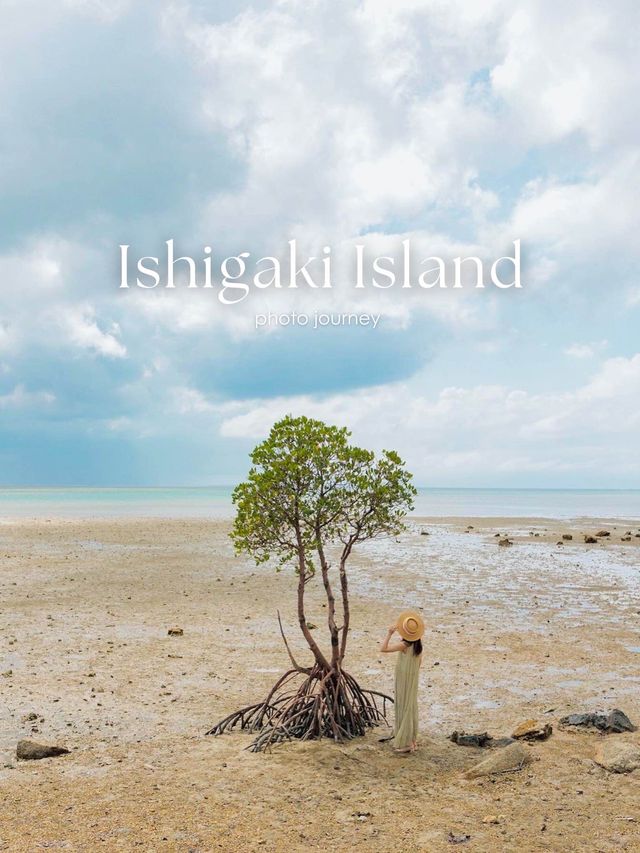 【石垣島】絶対行きたい！一本木ヒルギとリフレクション