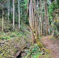 岩門の滝