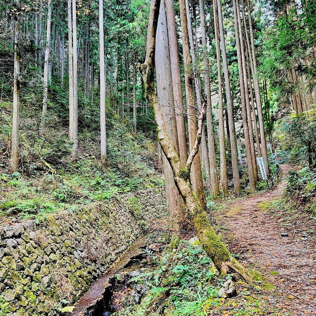 岩門の滝