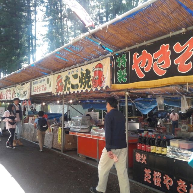 Chichibu Shibazakura ชิบะ ซากุระ สวยงามหวานละมุน