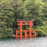 箱根一日快閃油再回新宿