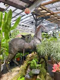Why Choose AGRO Nursery?
