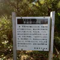 知多新四国八十八箇所霊場の86番「観音寺」