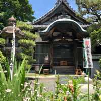 知多半島の旅　「三州高浜鬼みち」を辿る