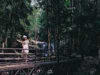 น้ำตกภูสอยดาว อุทยานแห่งชาติภูสอยดาว