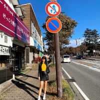 Slow life ที่ Nikko , Japan
