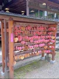 【奈良】花手水が可愛い岡寺🌷紫陽花シーズン
