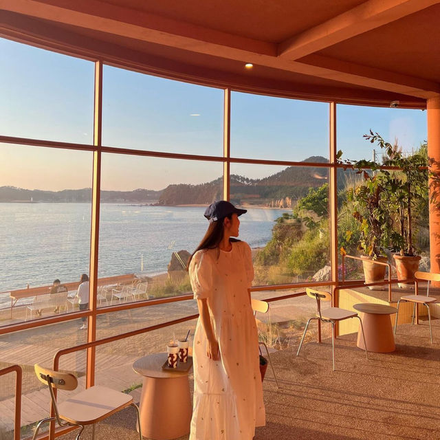 나만 알고싶은 파도리 해수욕장 일몰맛집🌅