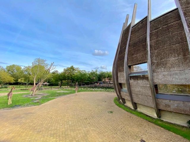 Rotterdam Zoo