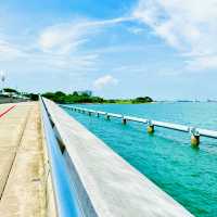 🇸🇬 Popular cycling area at Marina Barrage