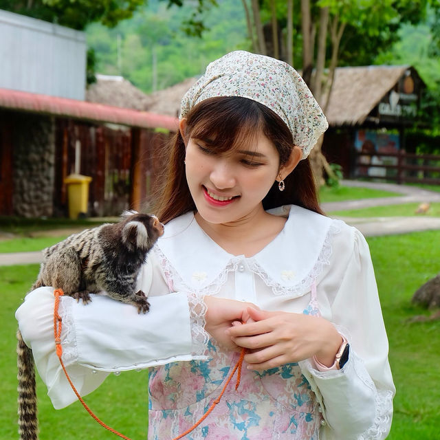 AlpacaHill สวนสัตว์ที่น่ารักสุด ๆ ในสวนผึ้งค่ะ