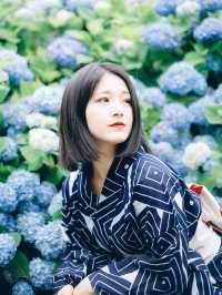 ここ知ってる？？【死ぬまでに見たい絶景】男鹿の紫陽花寺　雲昌寺🫧🫧
