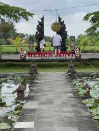 インドネシア🇮🇩バリ島✨ウブドのレストラン🌿🍽️