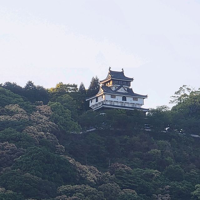 일본의 소도시 이와쿠니를 가보자!!!