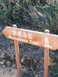 🇭🇰 香港遠足郊遊行山路線·港版小瑞士蠄蟝石頂