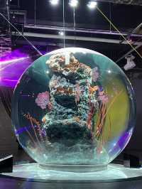 【兵庫】雨の日でも楽しめるアートな映え水族館