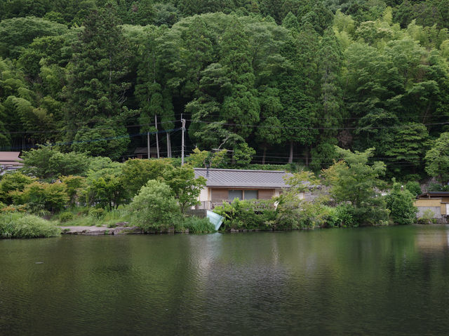 🇯🇵福岡 由布院金鱗湖：清晨時分 感受金色光影奇景