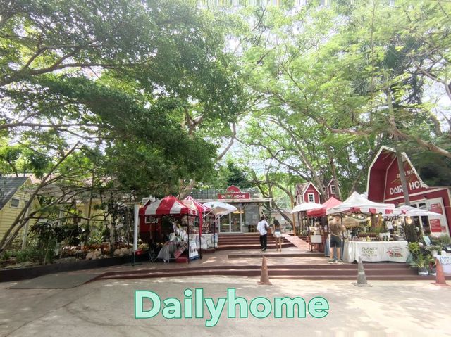 Dailyhome cafe & Restaurant 