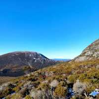 the best of Tassie