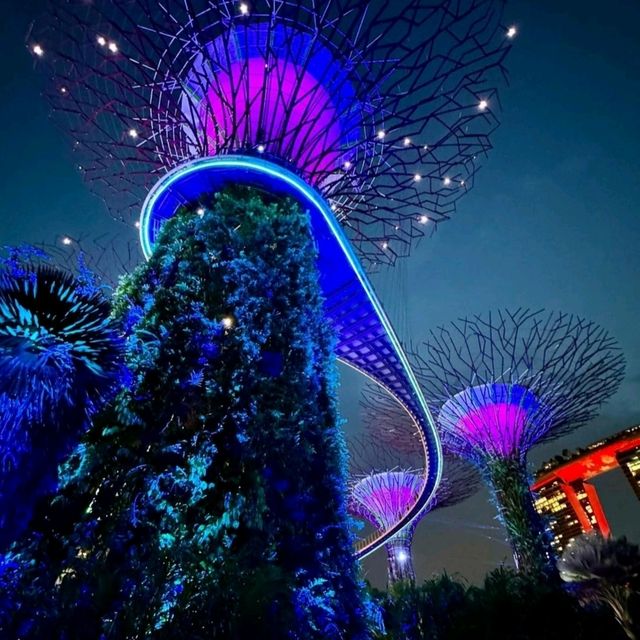 濱海灣花園