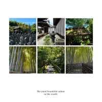 「光輪寺～綠意盎然，禪宗文化之旅」