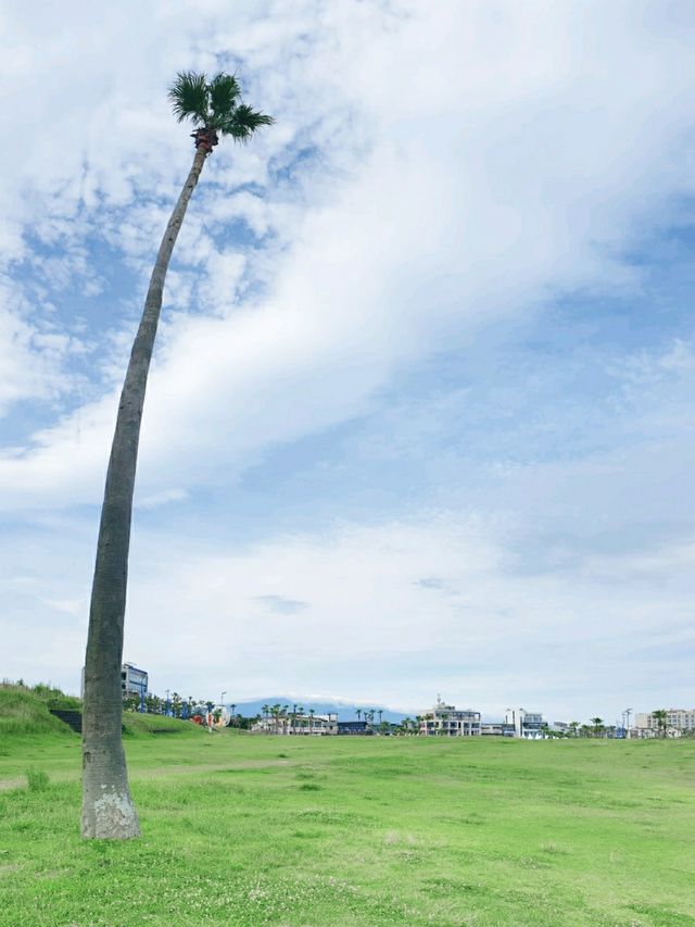 🏖에메랄드빛 해변과 ⛰초록빛 오름의 조화! 함덕해변