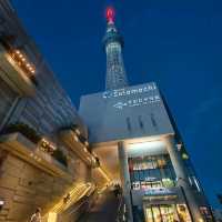 日本東京「墨田水族館」