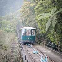 香港山頂隱藏打卡點📥 白加道站🚋