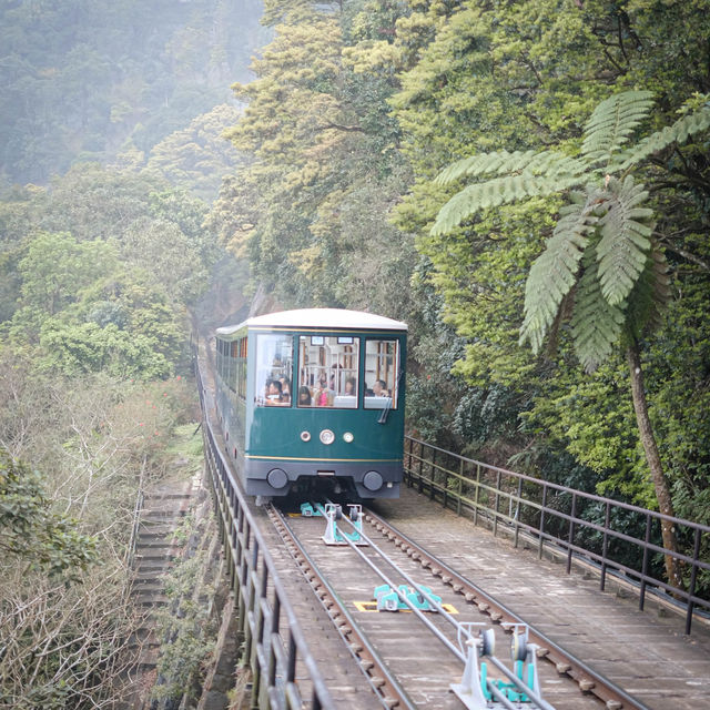 香港山頂隱藏打卡點📥 白加道站🚋