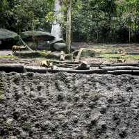 Singapore zoo