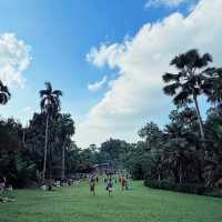 Singapore Botanic Garden