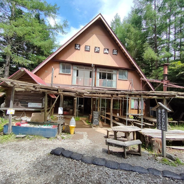 日本アルプス　高山植物