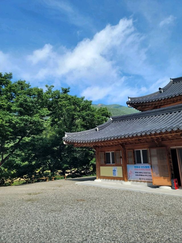 호랑이와 배롱나무가 있는 특별한 사찰🐯💗