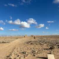 Field Of Rocks