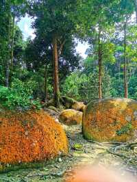 Hutan Lipur Ulu Bendul, a nature hidden gem in Kuala Pilah 🍃