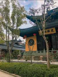 Peaceful Visit to Jade Buddha Temple in Shanghai 🇨🇳