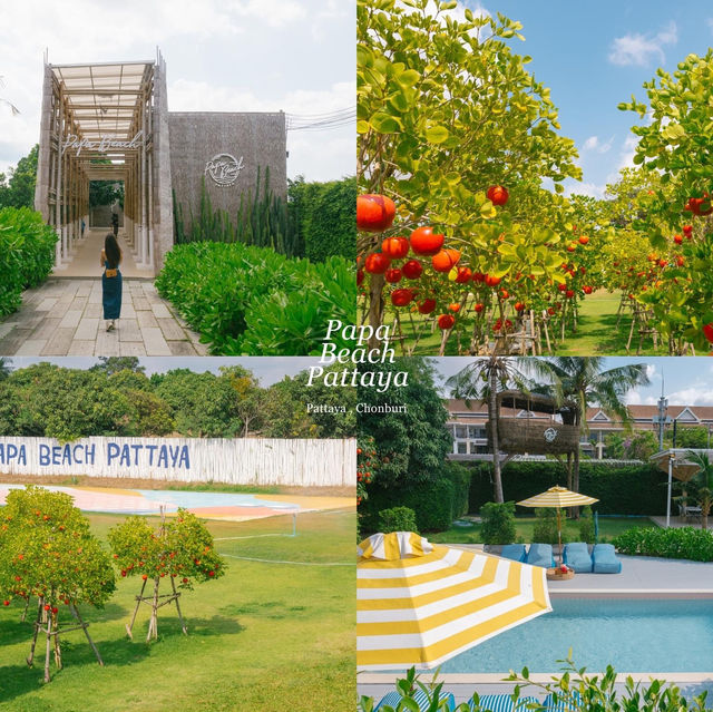รวม 8 ที่เที่ยว ‘พัทยา‘ ที่ควรมาเช็คอิน 🍋🏝️✨