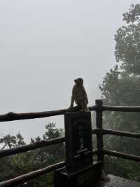 Zhangjiajie is a magical place