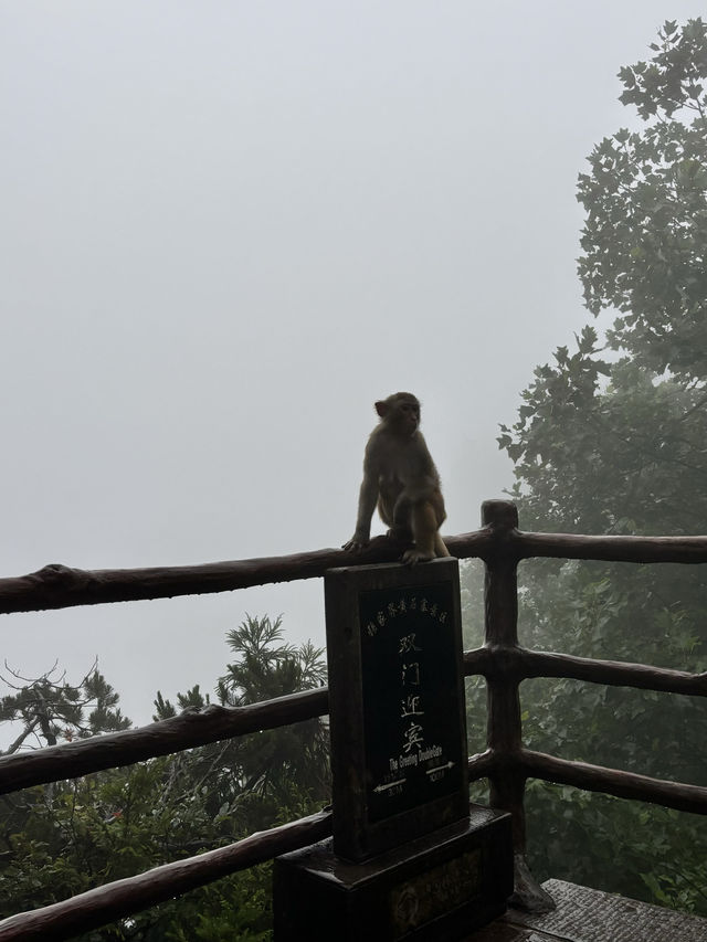 Zhangjiajie is a magical place
